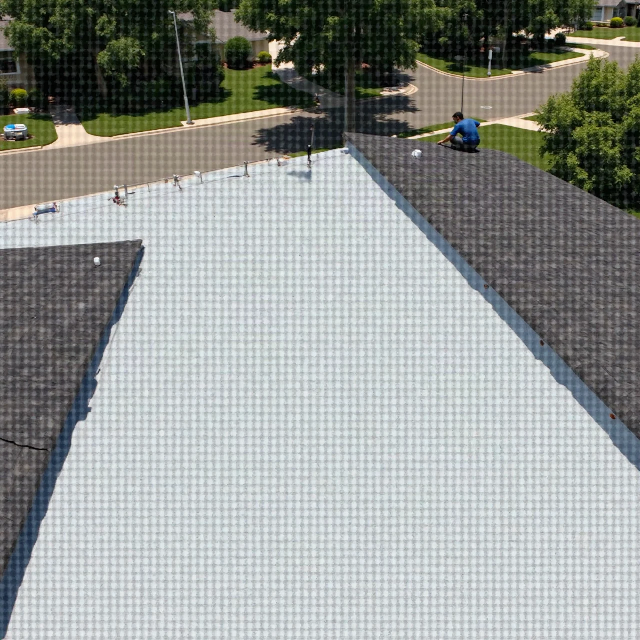 Photograph of a new residential roof installation in progress: clean roof deck with synthetic underlayment and starter shingles along the eave, ladder at the ed